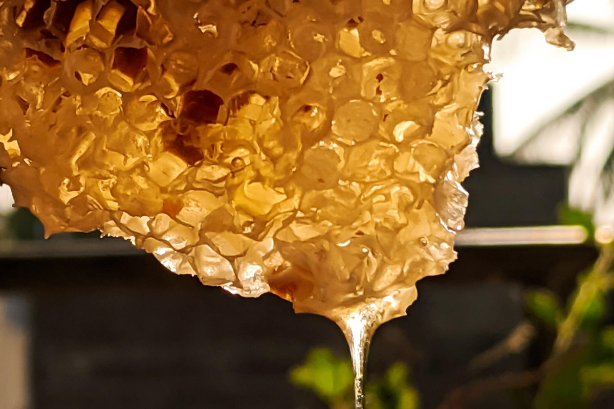 Types Of Honey