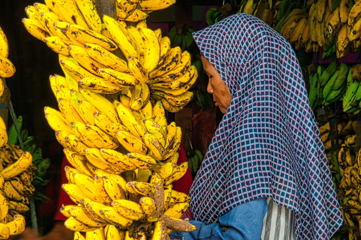 Types of Bananas