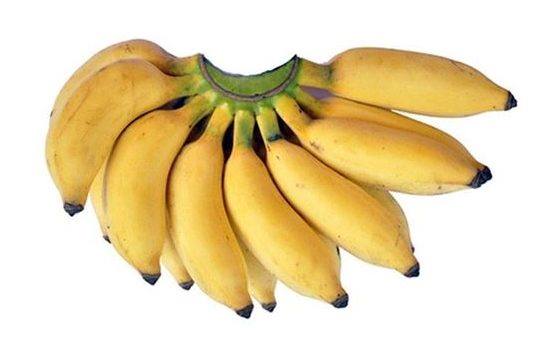 types of bananas