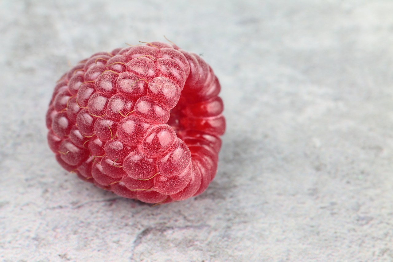 types of berries