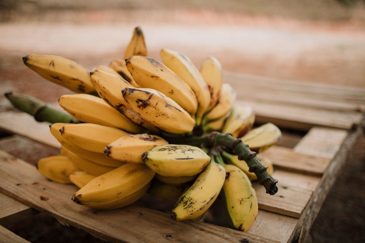 saba bananas