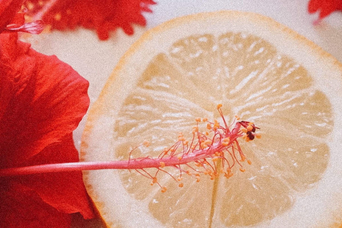 Types of Grapefruit