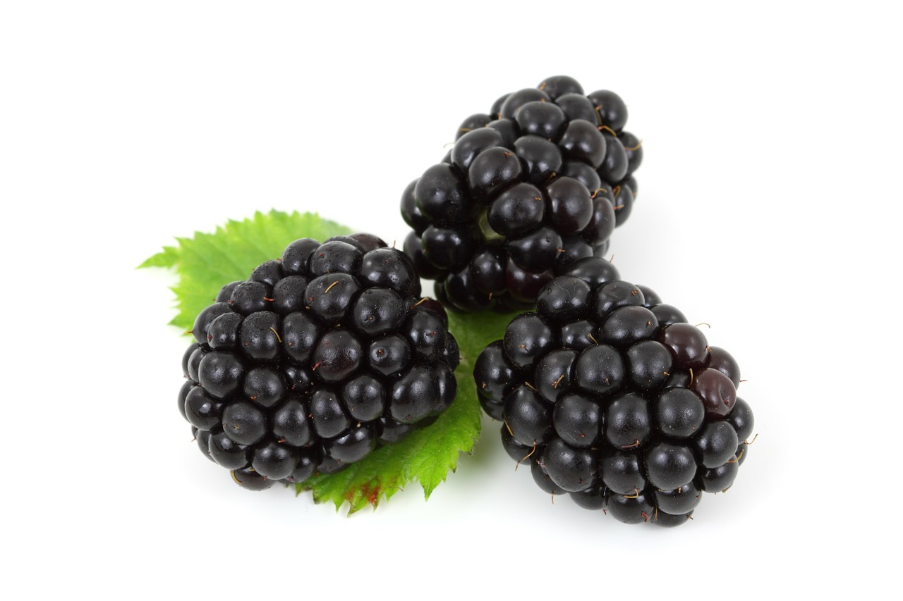 Black Mulberry